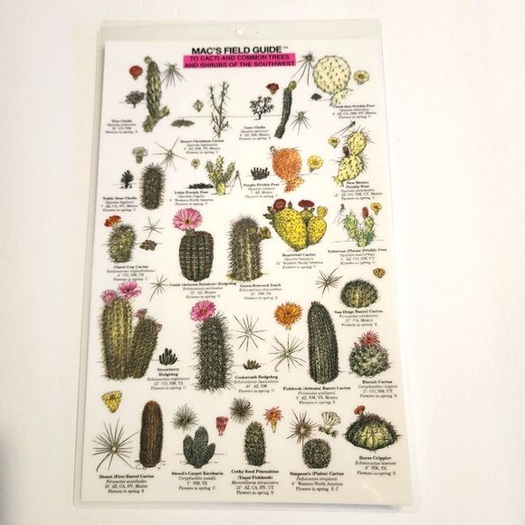 Mac's Field Guide To Cacti and Common Trees and Shrubs of the Southwest - Picture 1 of 4